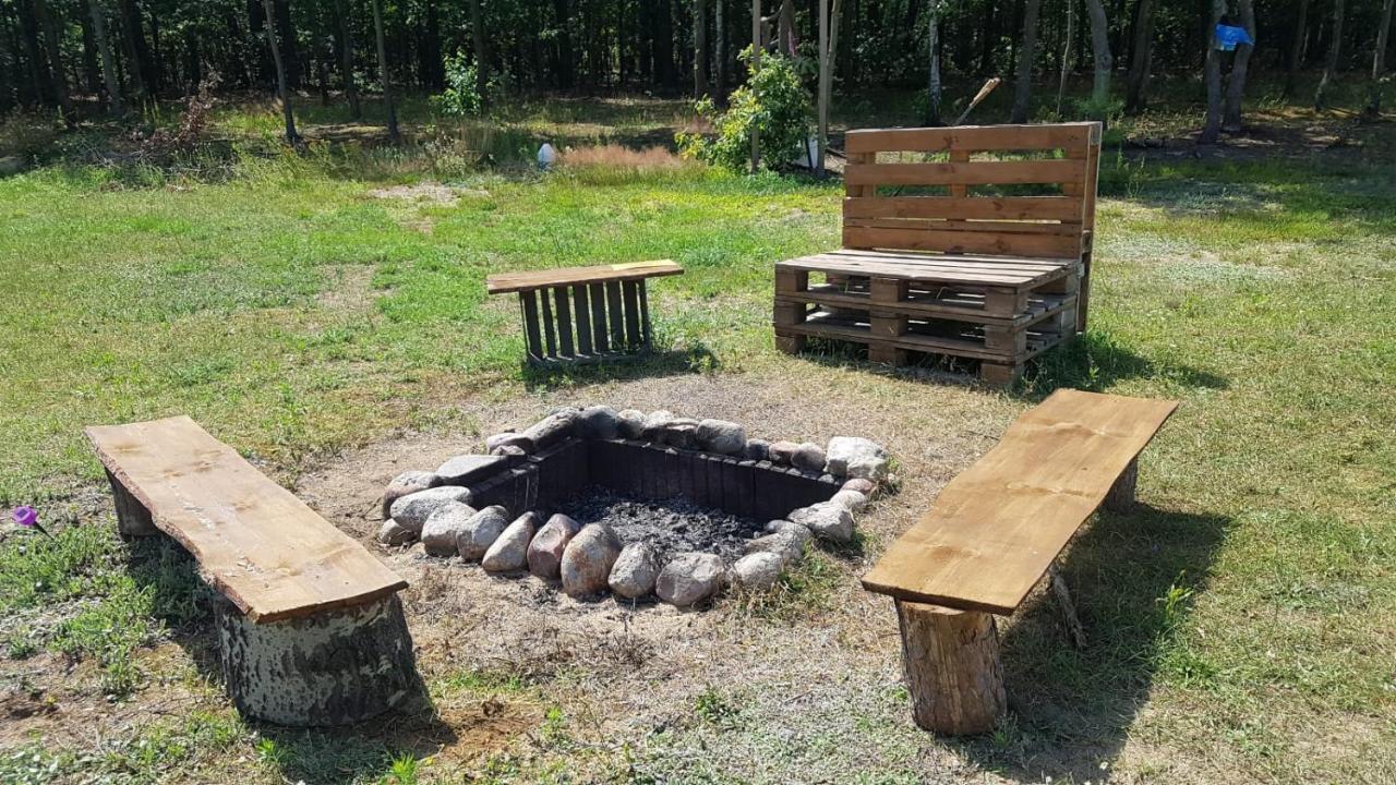 Sosnowe Widoki - Nowe Miasto Nad Rzeka Sona - Dom Caloroczny Szczawin  Eksteriør billede